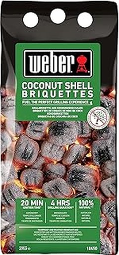 Opciones de Combustible Alternativas al Carbón de Coco para Pizza