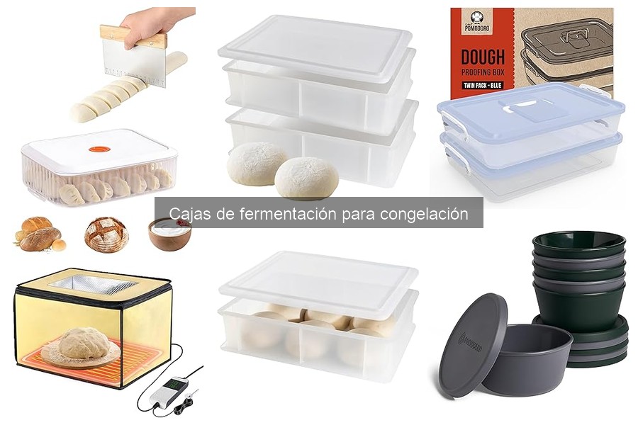 Alternativas a cajas de fermentación para congelación