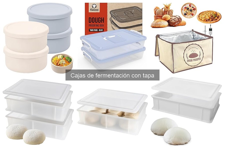 Alternativas a Cajas de Fermentación para Pizza en Casa