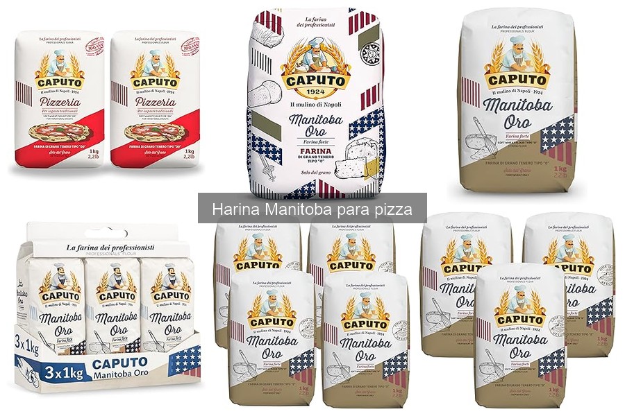Alternativas a la Harina Manitoba para Hacer Pizza