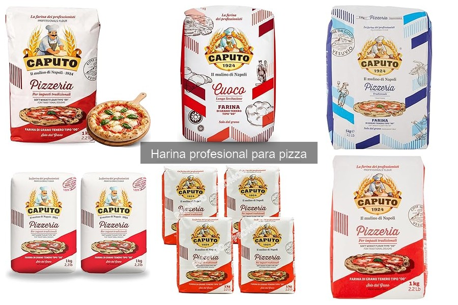 Alternativas a la harina profesional para pizza