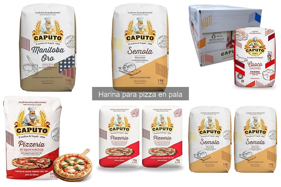 Alternativas saludables a la harina de trigo para pizza