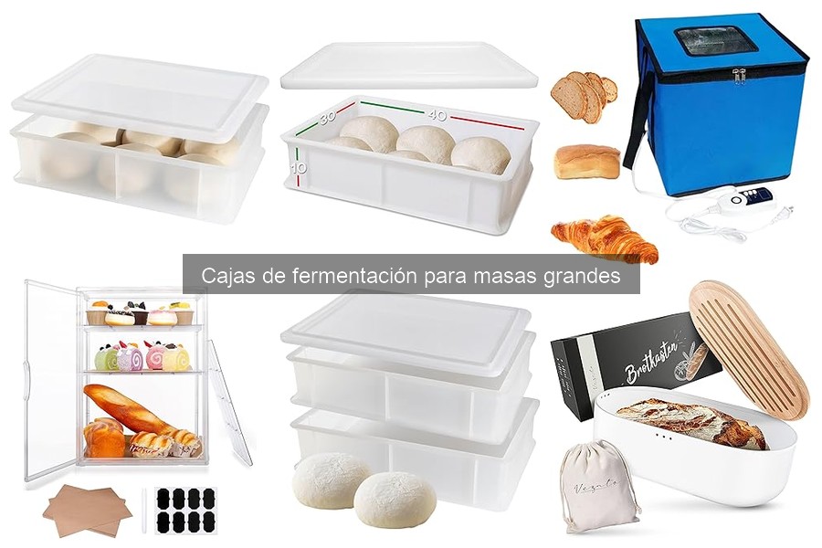 Cajas de fermentación para masas grandes: importancia y uso