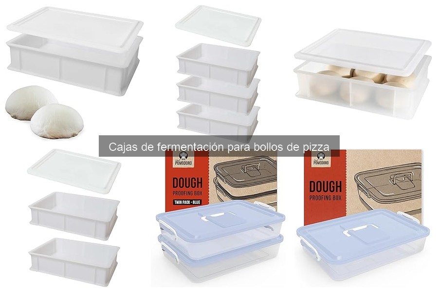 Características Clave de una Caja de Fermentación para Pizza