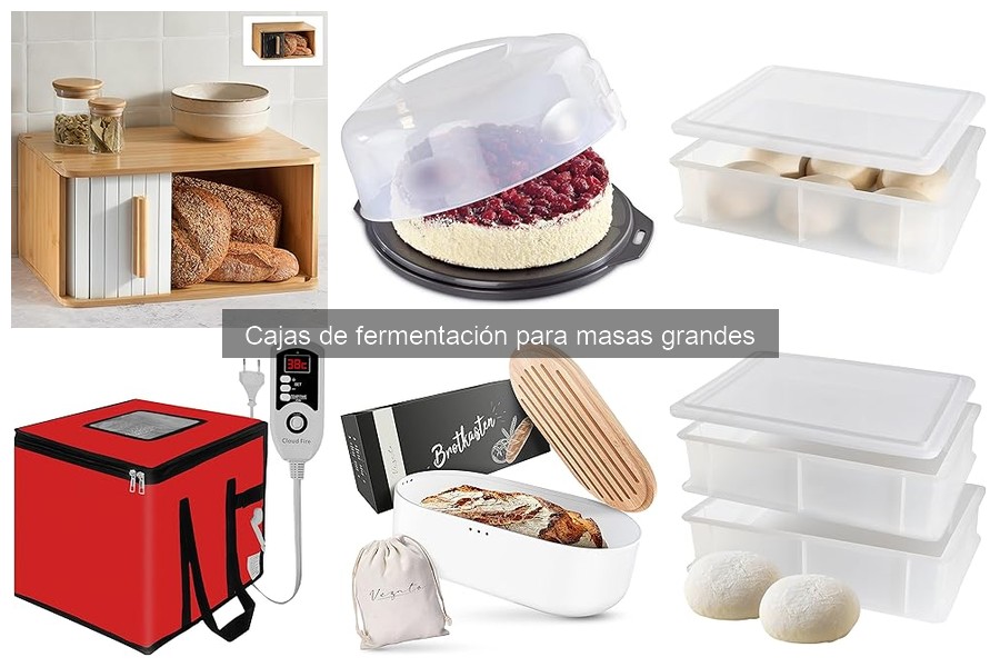 Cómo elegir la caja de fermentación para masas grandes