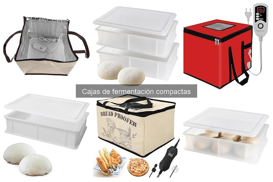 Cómo elegir la mejor caja de fermentación compacta para pizza