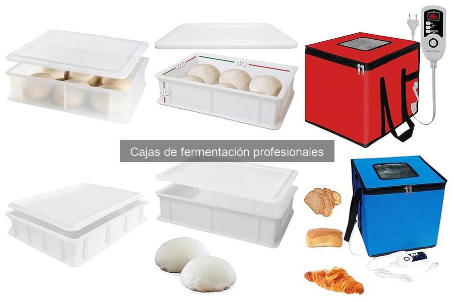 Cómo elegir la mejor caja de fermentación profesional