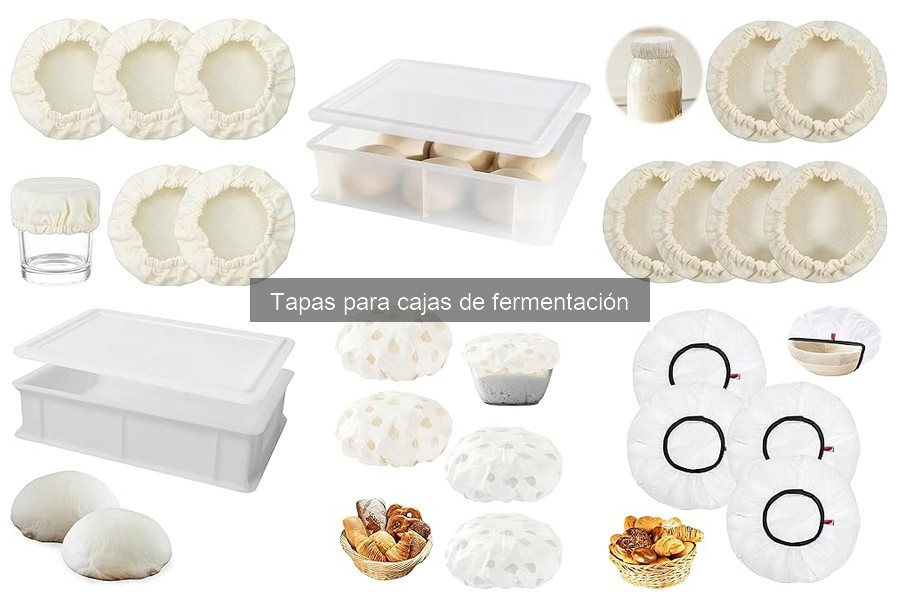 Cómo instalar la tapa en tu caja de fermentación