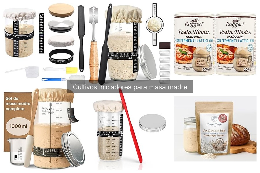 Cómo mantener cultivos iniciadores para masa madre correctamente