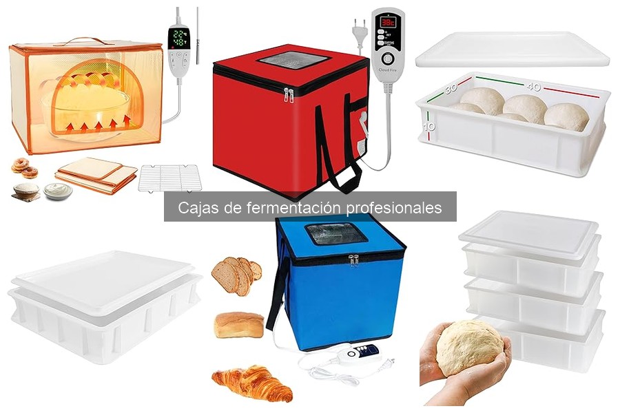 Cómo mantener y limpiar cajas de fermentación profesionales