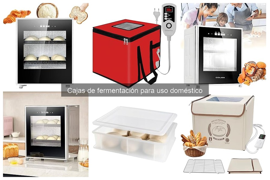 Cómo usar una caja de fermentación para hacer masa perfecta