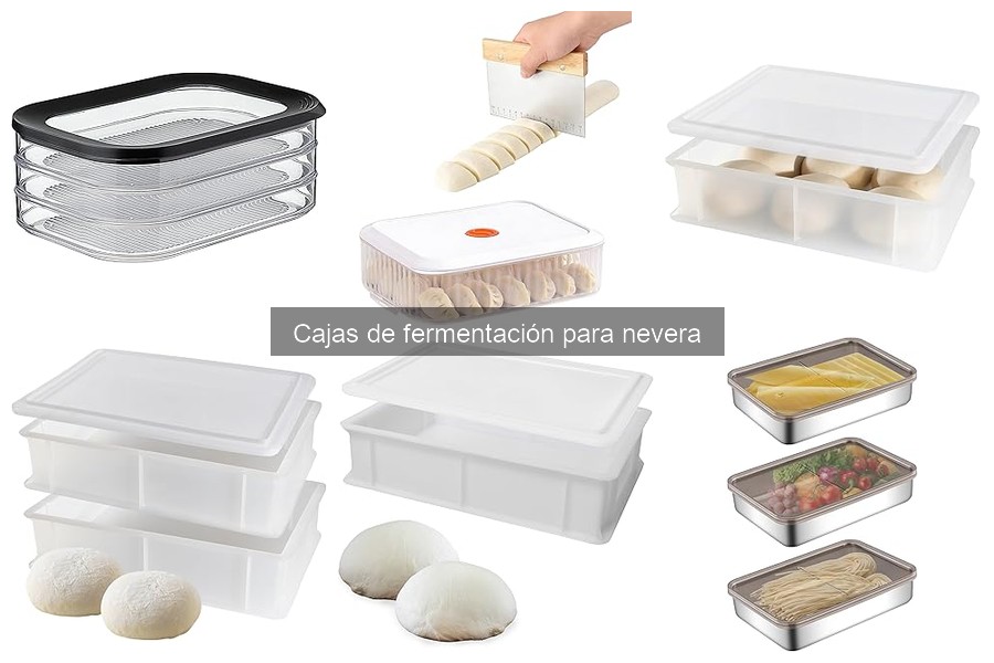 Cómo usar una caja de fermentación para pizza fácilmente