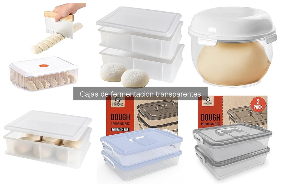 Cómo utilizar correctamente una caja de fermentación transparente