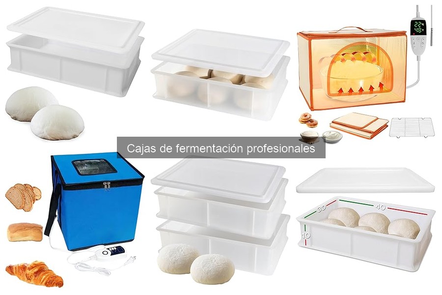 Cómo utilizar una caja de fermentación profesional para pizza