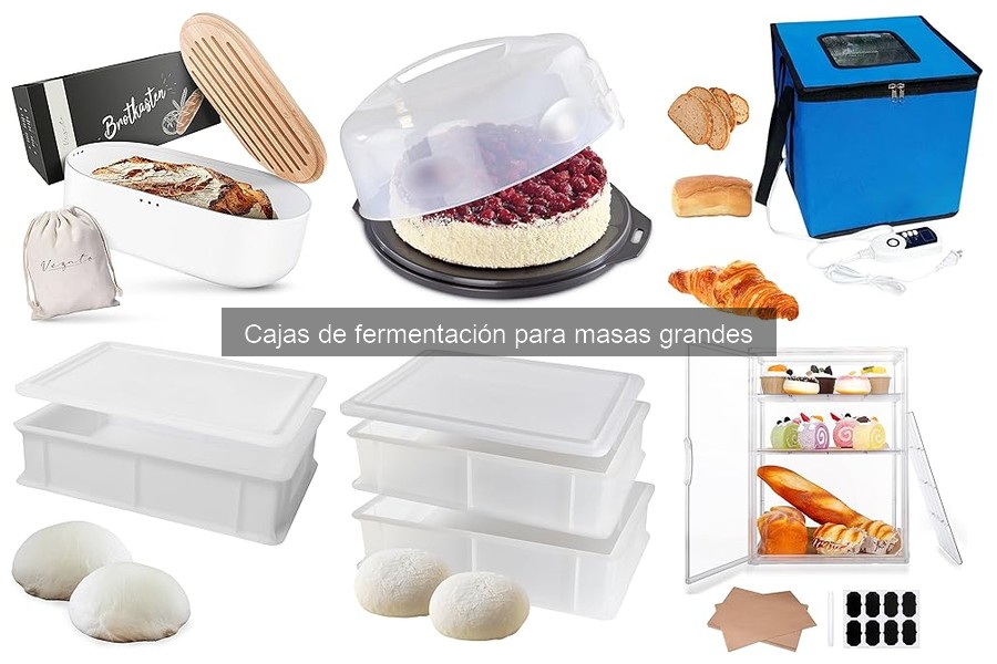** Comparativa: Cajas de Fermentación de Plástico vs. Madera