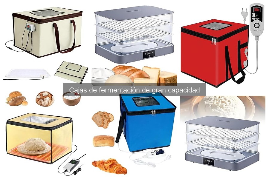 Comparativa: Cajas de Fermentación vs. Otros Sistemas