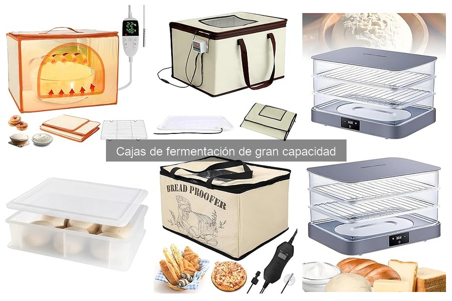 Comparativa de Cajas de Fermentación de Gran Capacidad