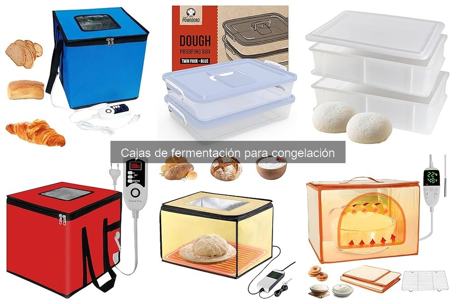 Comparativa de Cajas de Fermentación para Congelación y Métodos