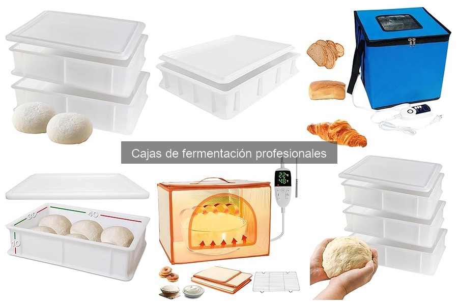 Comparativa de Cajas de Fermentación para Pizza y Pan