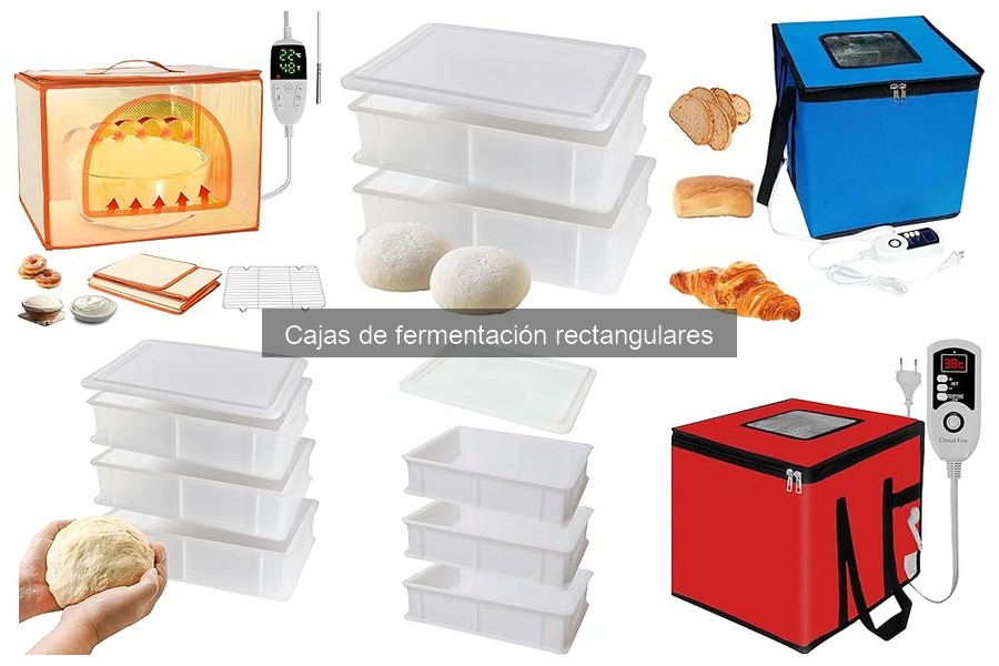Comparativa de cajas de fermentación rectangulares para pizza