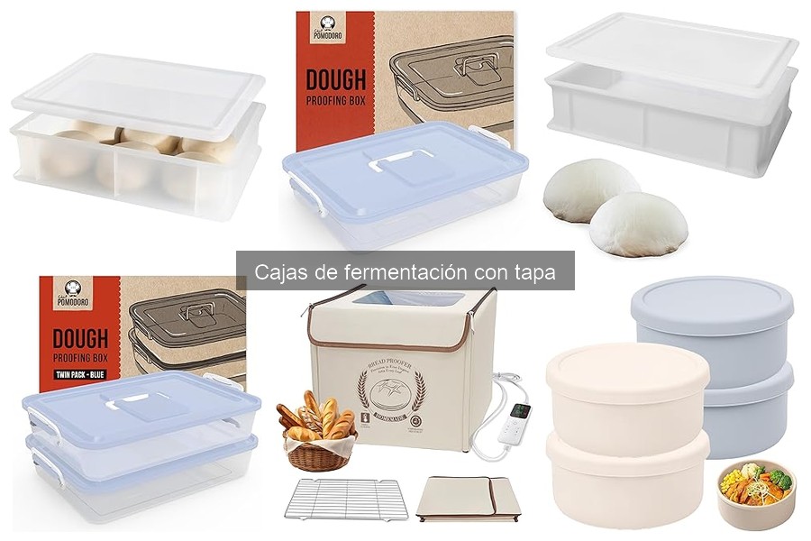 Comparativa de precios de cajas de fermentación con tapa