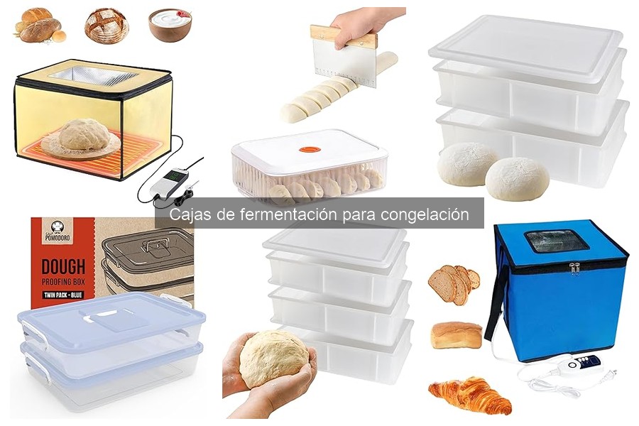 Comparativa de precios de cajas de fermentación para congelación