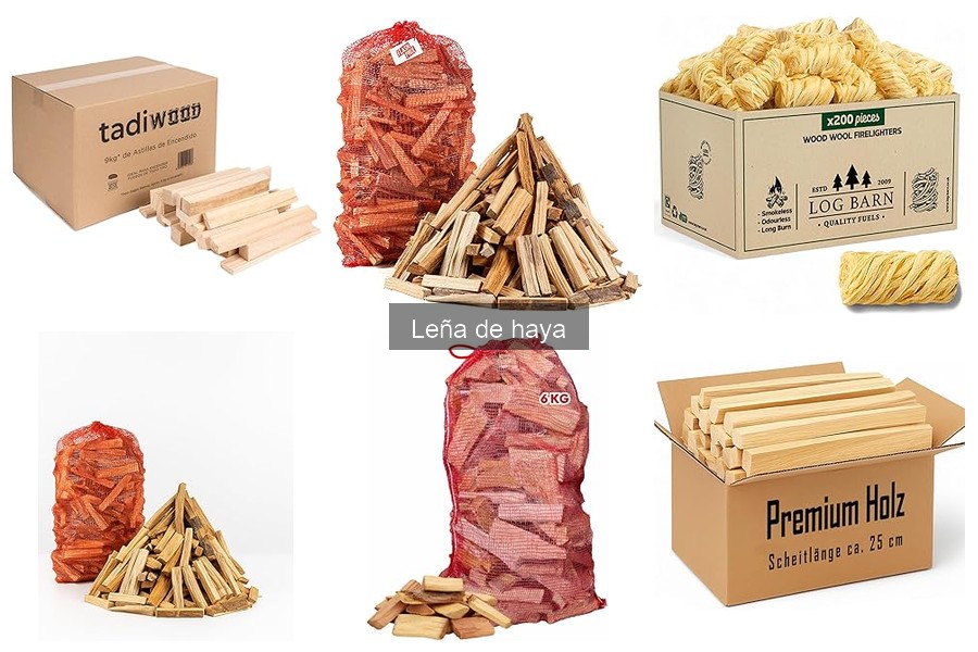 Comparativa: Leña de Haya vs. Leña de Roble y Pino
