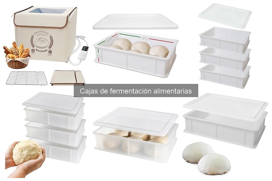 Consejos para Elegir Cajas de Fermentación para Pizza