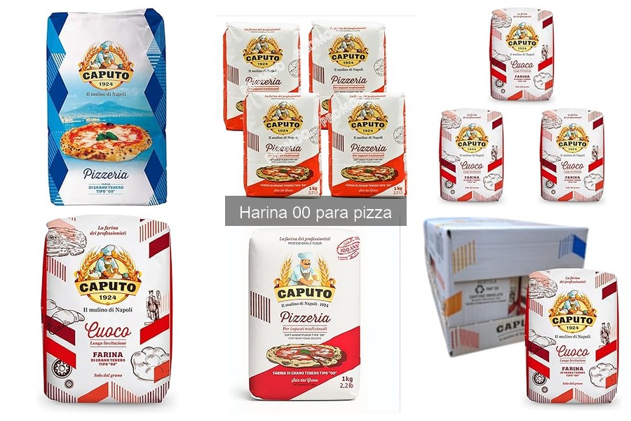 Consejos para hacer masa de pizza con harina 00