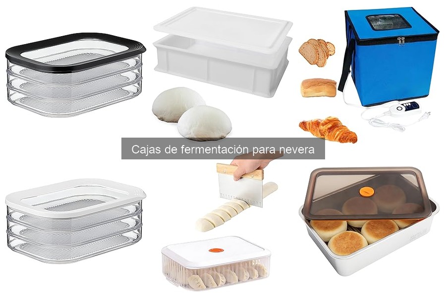 Consejos prácticos para usar cajas de fermentación en casa