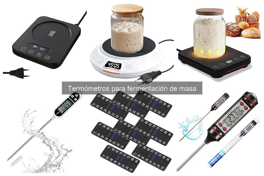 Cuándo medir la temperatura de fermentación de la masa