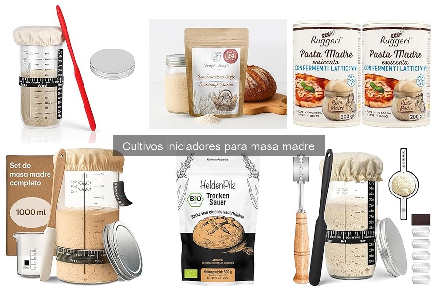 Cultivos iniciadores: sabor del pan en cada elección