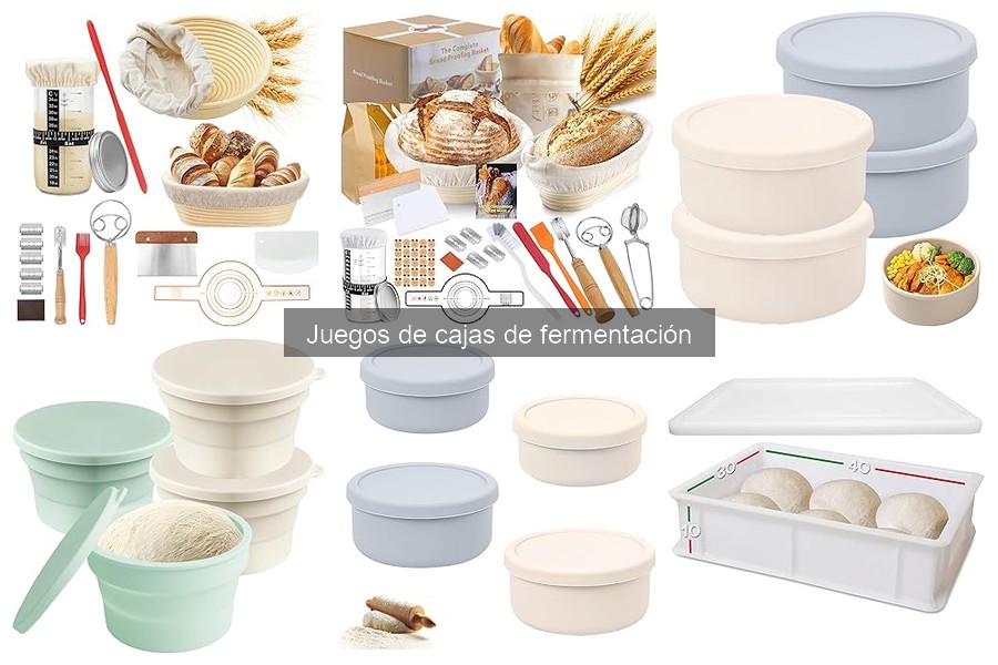 Diferencias entre cajas de fermentación: plástico vs cristal