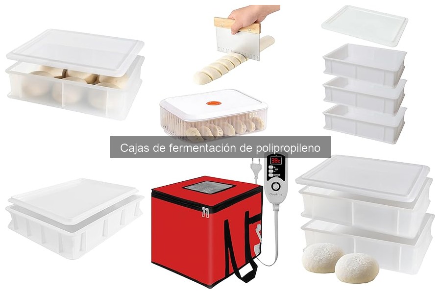 Dónde comprar cajas de fermentación de polipropileno en línea