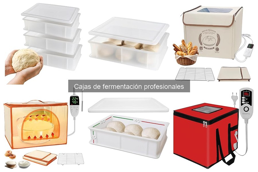 Dónde comprar cajas de fermentación profesionales a buen precio