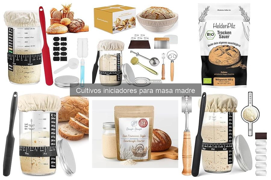 Dónde comprar cultivos iniciadores para masa madre