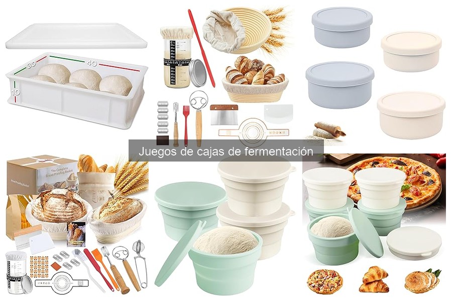 Dónde comprar juegos de cajas de fermentación para pizza