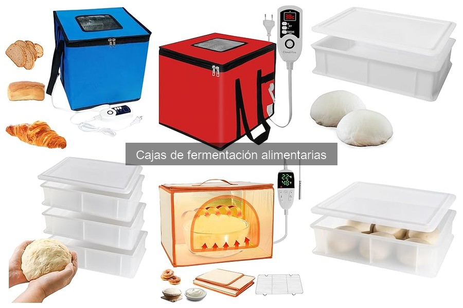 Innovaciones en cajas de fermentación para hacer pizza