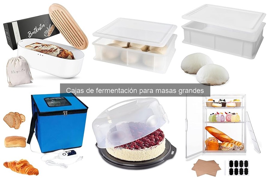 Mejores cajas de fermentación para masas grandes en 2023