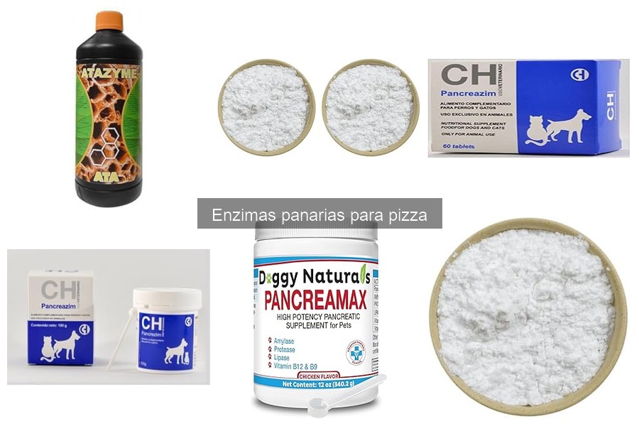 Mejores enzimas para hacer pizza casera: Guía de compra