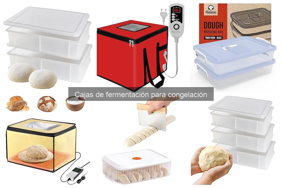 Mejores marcas de cajas de fermentación para congelación