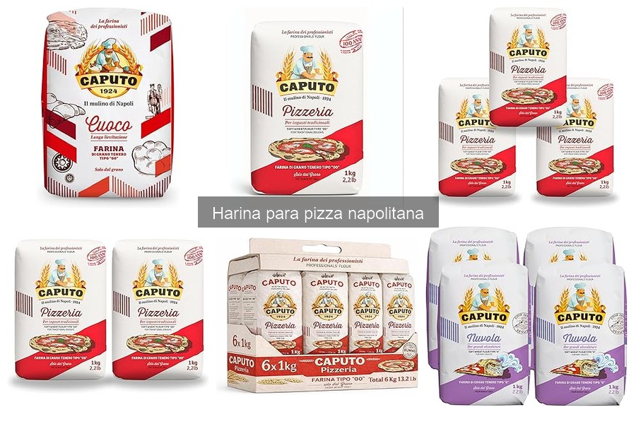 Mejores marcas de harina para pizza napolitana 2023