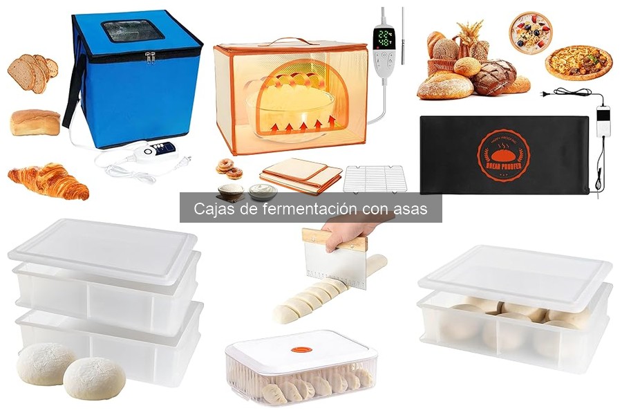 Mejores masas de pizza para cajas de fermentación con asas