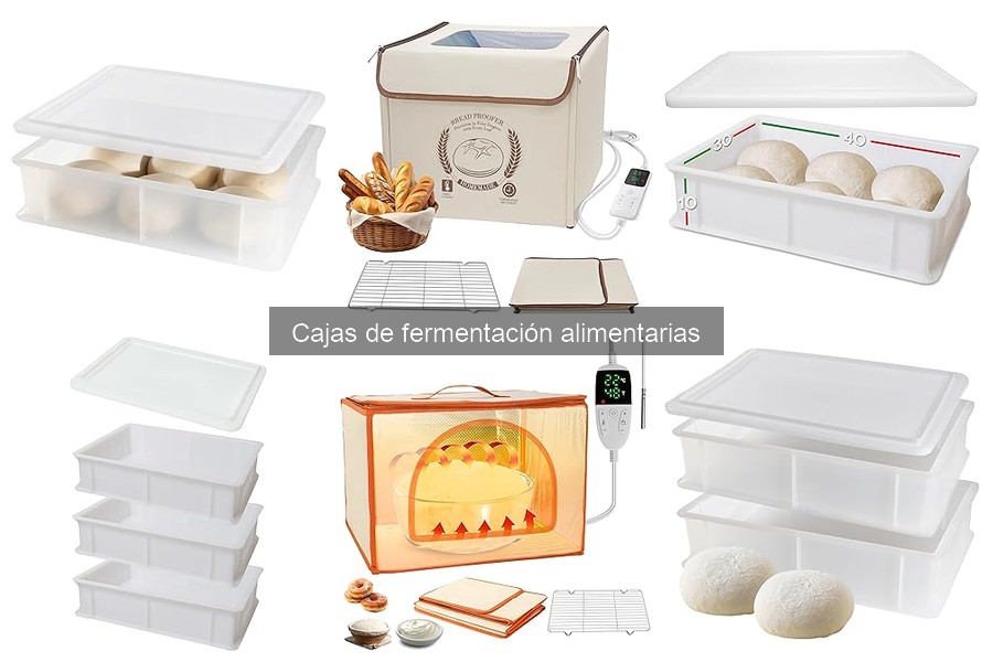 Mejores Prácticas para Fermentación de Masa en Cajas