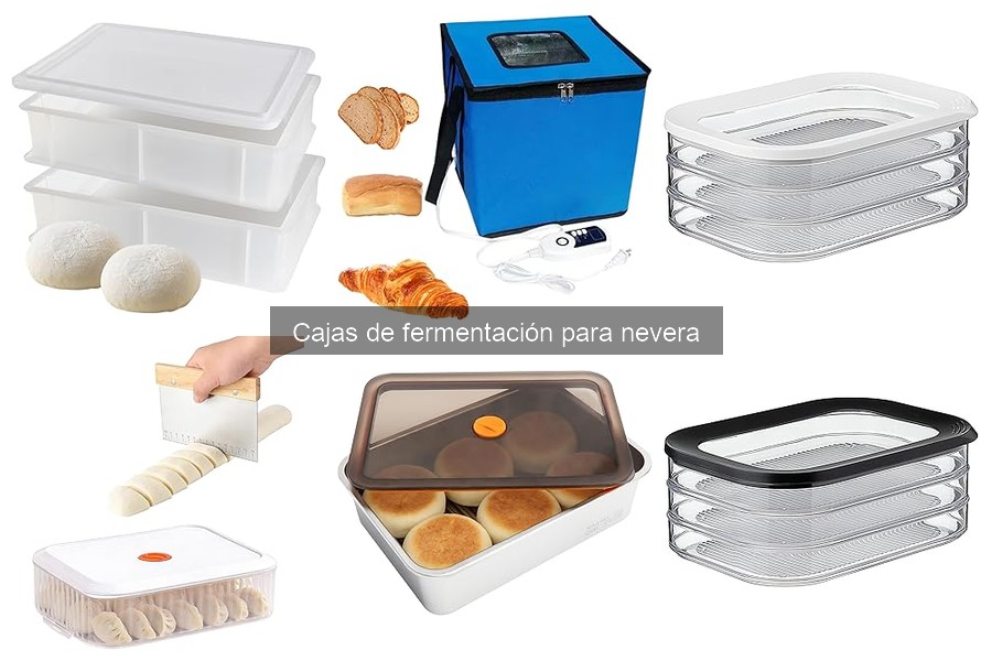 Opiniones de usuarios sobre cajas de fermentación para pizza