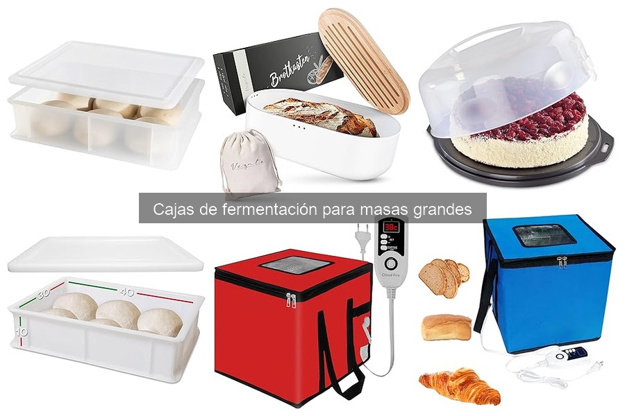 Opiniones sobre cajas de fermentación para masas grandes