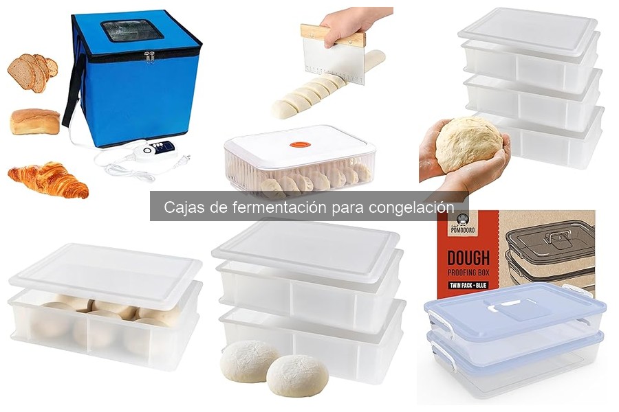 Precauciones y Cuidados con Cajas de Fermentación para Congelación