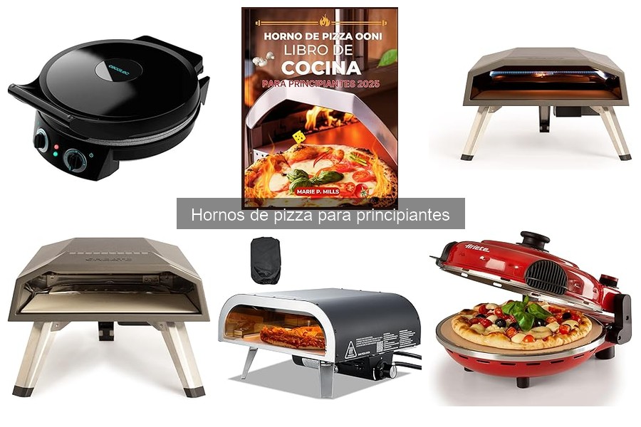 Precio promedio de hornos de pizza para principiantes