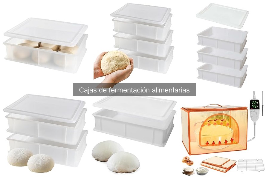 Precios de cajas de fermentación alimentarias: guía actualizada