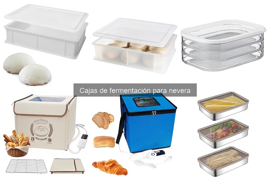 Precios de Cajas de Fermentación para Pizza en 2023